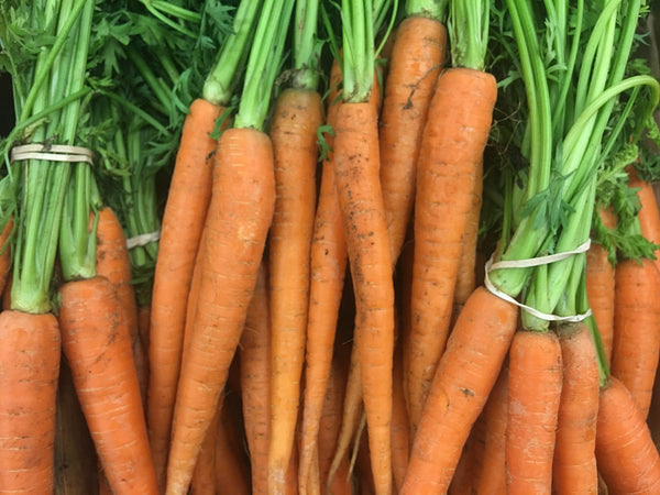 Carottes